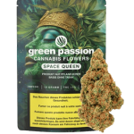 Green Passion Space Queen CBD Blüten Indoor
