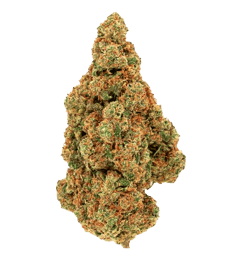 Green Passion Space Queen CBD Blüten Indoor – Bild 2