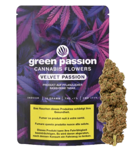 Green Passion Velvet Passion CBD Flower Indoor 1
