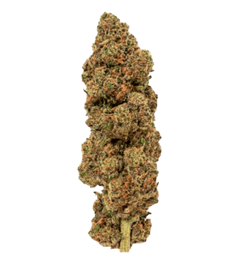 Green Passion Velvet Passion CBD Blüten Indoor – Bild 2