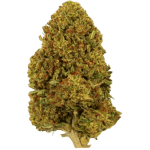 Green Passion White Passion CBD Blüten Outdoor – Bild 2