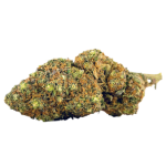 Herba di Berna Blueberry Muffin CBD Flower Indoor 3
