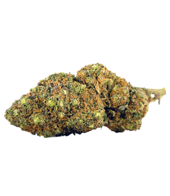 Herba di Berna Blueberry Muffin CBD Flower Indoor 3