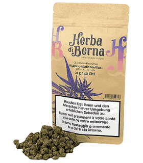 Herba di Berna Blueberry Muffin Minibuds Small CBD Buds Indoor 1