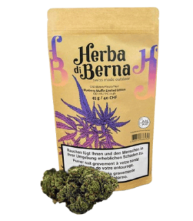 Herba di Berna Blueberry Muffin CBD Flower Outdoor 1