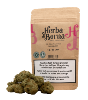 Herba di Berna Cannaqueen CBD Flower Indoor 1
