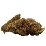 Herba di Berna Cannaqueen Fleurs de CBD Indoor – photo 3
