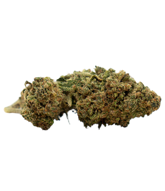 Herba di Berna Cannatonic CBD Blüten Indoor – Bild 2