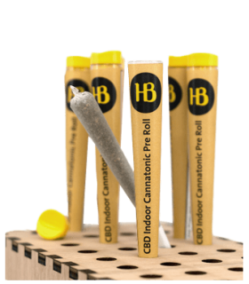 Herba di Berna Cannatonic Trim Pre-Roll CBD Joint Indoor 1