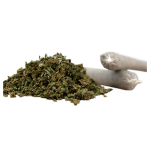 Herba di Berna Cannatonic Trim Pre-Rolls CBD Joints Indoor – image 2