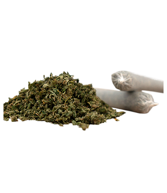 Herba di Berna Cannatonic Trim Pre-Rolls CBD Joints Indoor – Bild 2
