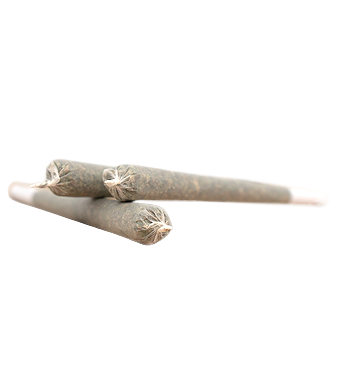 Herba di Berna Cannatonic Trim Pre-Rolls CBD Joints Indoor – Bild 3