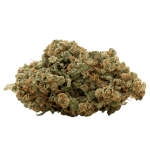 Harlequin CBD Flowers Indoor