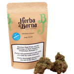 Harlequin CBD Flowers Indoor