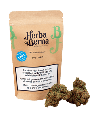 Harlequin CBD Flowers Indoor
