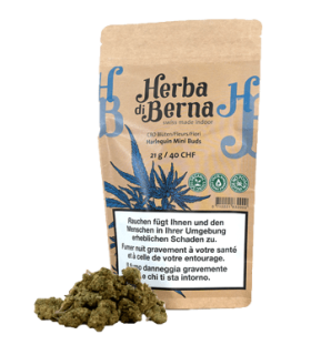 Herba di Berna Harlequin Minibuds Small CBD Buds Indoor 1
