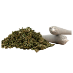 Herba di Berna Harlequin Trim Pre-Rolls Joints CBD Indoor – photo 2