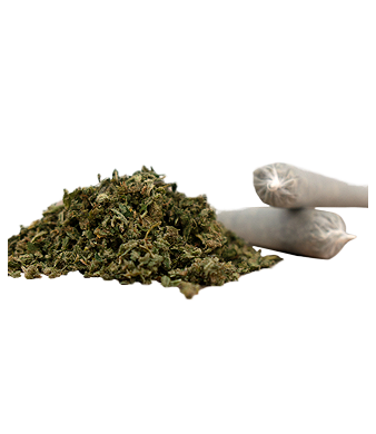 Herba di Berna Harlequin Trim Pre-Rolls Joints CBD Indoor – photo 2