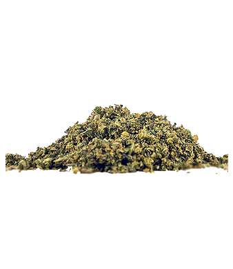 Herba di Berna Lemon Haze Handtrim CBD Trim Indoor – Bild 2