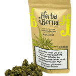 Herba di Berna Lemon Haze Minibuds Fleurs de CBD Indoor