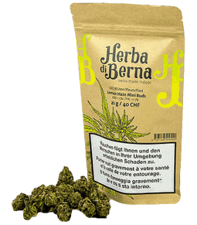 Herba di Berna Lemon Haze Minibuds Small CBD Buds Indoor 1