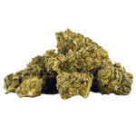 Herba di Berna Lemon Haze Minibuds Fleurs de CBD Indoor – photo 2