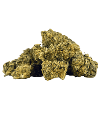 Herba di Berna Lemon Haze Minibuds CBD Flowers Indoor – image 2