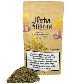Herba di Berna Lemon Muffin Handtrim CBD Trim Indoor 1