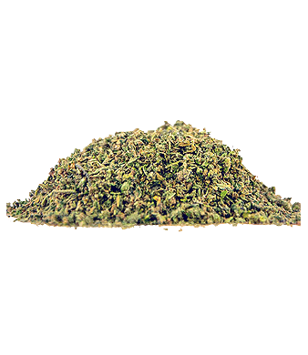 Herba di Berna Lemon Muffin Handtrim CBD Trim Indoor 2
