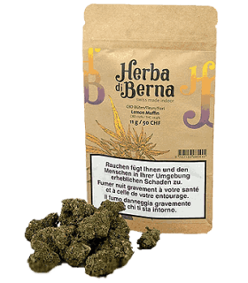 Herba di Berna Lemon Muffin CBD Flower Indoor 1