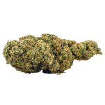 Herba di Berna Lemon Muffin Fleurs de CBD Indoor – photo 2