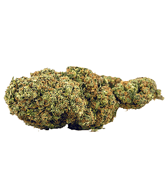 Herba di Berna Lemon Muffin CBD Flowers Indoor – image 2
