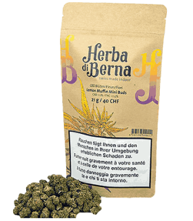 Herba di Berna Lemon Muffin Minibuds Small CBD Buds Indoor 1
