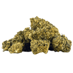 Herba di Berna Lemon Muffin Minibuds Small CBD Buds Indoor – Bild 2