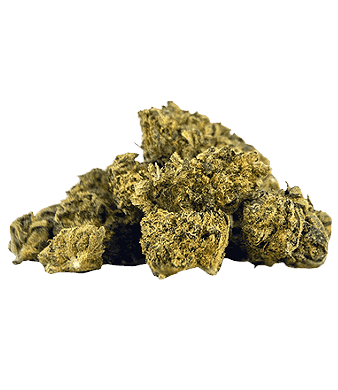 Herba di Berna Lemon Muffin Minibuds CBD Small Buds Indoor – image 2
