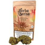 Herba di Berna Mango Haze CBD Blüten Outdoor