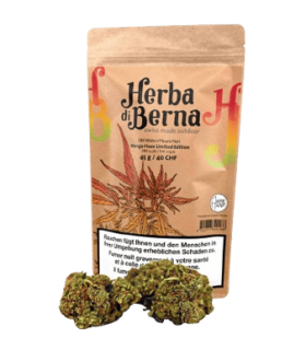 Herba di Berna Mango Haze CBD Flower Outdoor 1