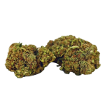 Herba di Berna Mango Haze CBD Flowers Outdoor – image 2