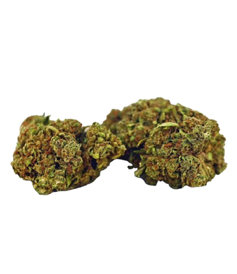 Herba di Berna Mango Haze CBD Blüten Outdoor – Bild 2