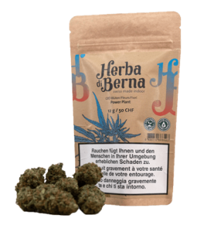 Herba di Berna Power Plant CBD Flower Indoor 1
