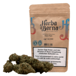 Power Plant Fleurs de CBD Indoor