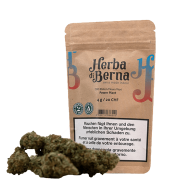 Power Plant Fleurs de CBD Indoor