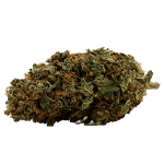 Power Plant Fleurs de CBD Indoor