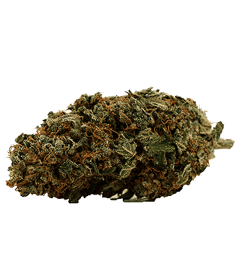 Power Plant Fleurs de CBD Indoor