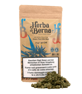 Herba di Berna Power Plant Minibuds Small CBD Buds Indoor 1