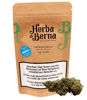 Herba di Berna Strawberry CBD Flower Indoor 1