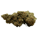 Herba di Berna Strawberry CBD Flowers Indoor – image 2