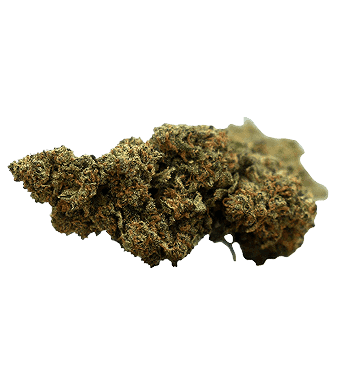 Herba di Berna Strawberry CBD Blüten Indoor – Bild 2