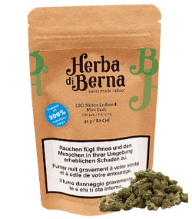 Herba di Berna Strawberry Minibuds Small CBD Buds Indoor 1