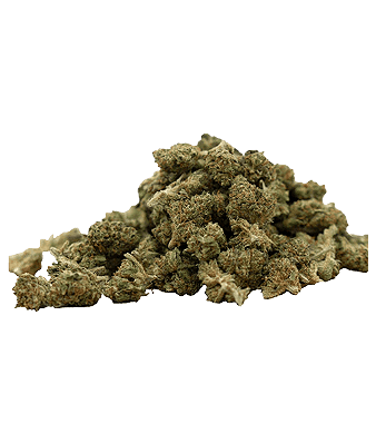 Herba di Berna Strawberry Minibuds Small CBD Buds Indoor – photo 2